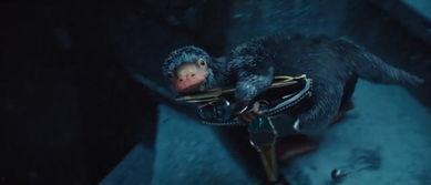 哈利波特最新爆料6月,神秘新篇章，揭秘6月重磅爆料！