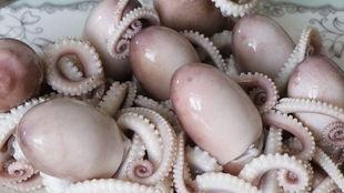 网红八爪鱼事件吃瓜视频,揭秘网络暴力与真相的较量 第3张 网红八爪鱼事件吃瓜视频,揭秘网络暴力与真相的较量 第3张